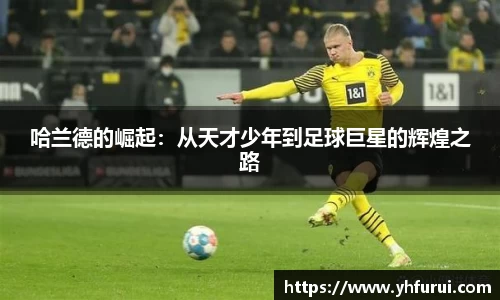 28圈官网版下载