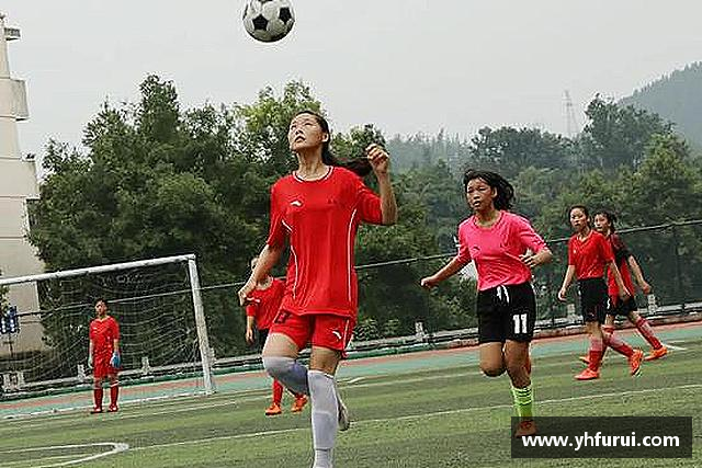 介绍28圈.ccmpc正版